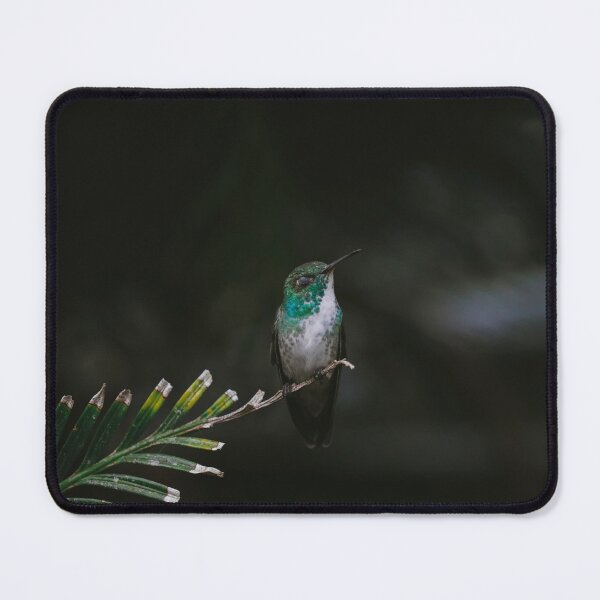 Item preview, Versicolored emerald Hummingbird designed and sold by anafrancisconi.