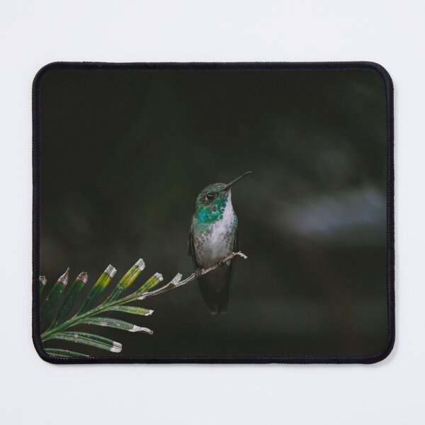 Item preview, Versicolored emerald Hummingbird designed and sold by anafrancisconi.