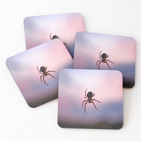 Item preview, H0055 Spider designed and sold by photographyemd.