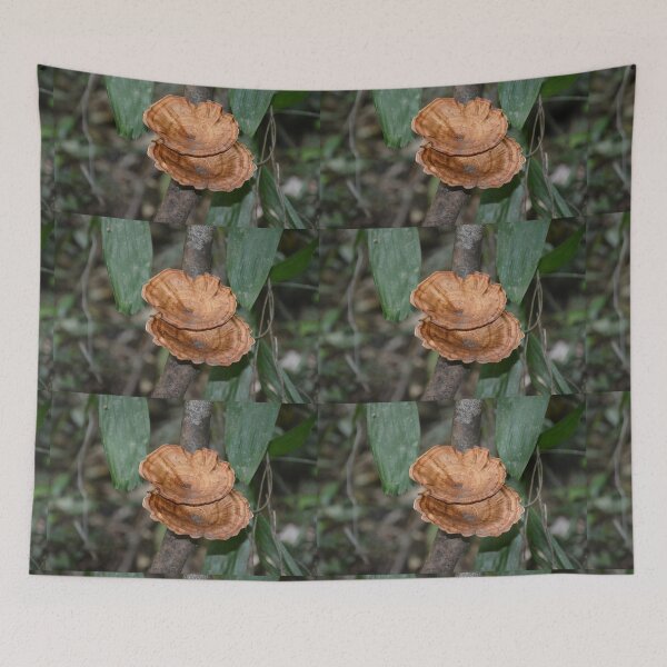 Item preview, FUNGHI FLOWER designed and sold by kazaroodie.