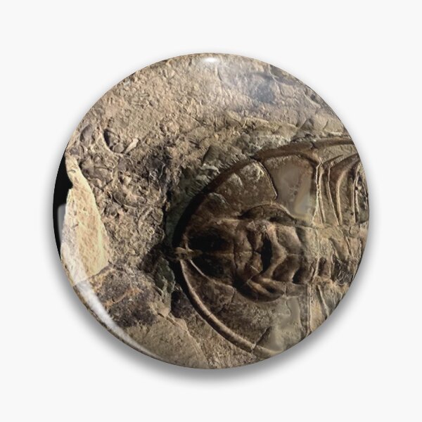 Item preview, Trilobite designed and sold by sd749.