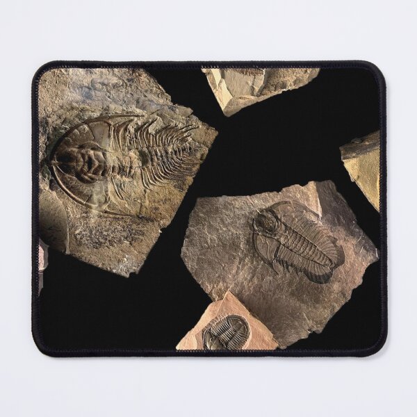 Item preview, Trilobite designed and sold by sd749.