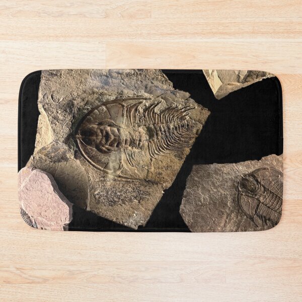 Item preview, Trilobite designed and sold by sd749.