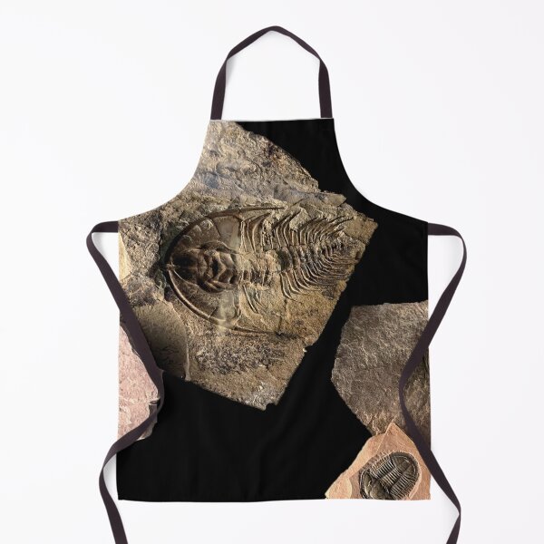 Item preview, Trilobite designed and sold by sd749.