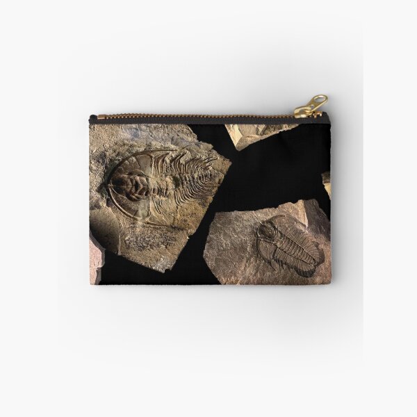 Item preview, Trilobite designed and sold by sd749.