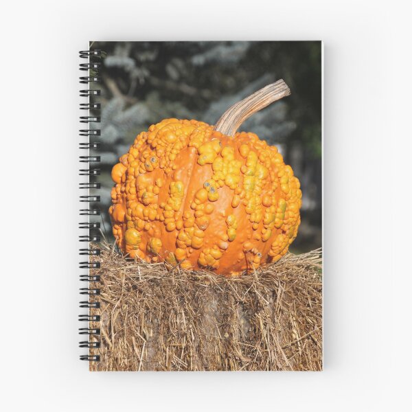 Item preview, The Lumpy Pumpkin designed and sold by Autumn Seas Photography.
