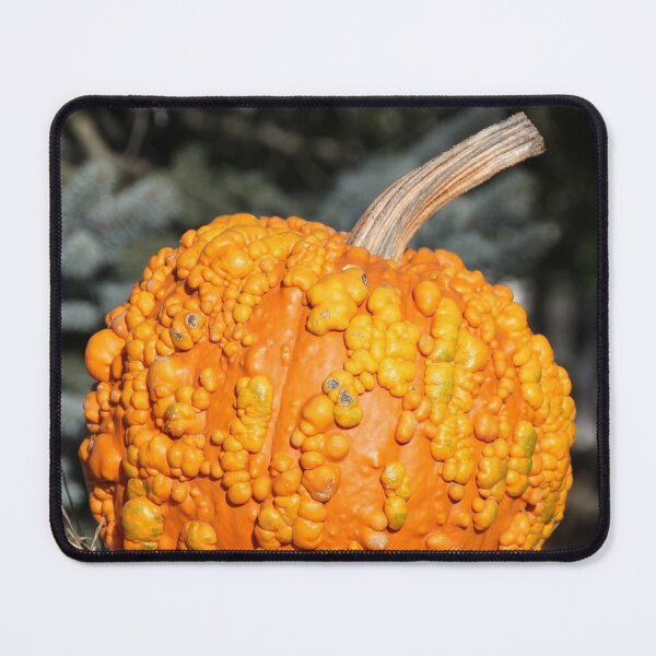 Item preview, The Lumpy Pumpkin designed and sold by Autumn Seas Photography.