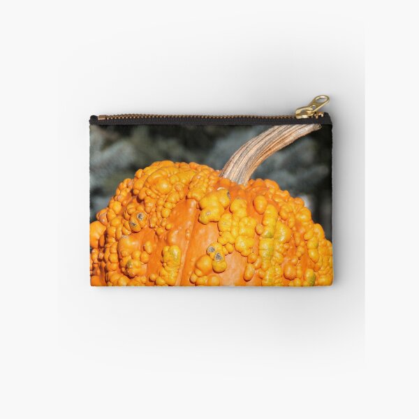 Item preview, The Lumpy Pumpkin designed and sold by Autumn Seas Photography.