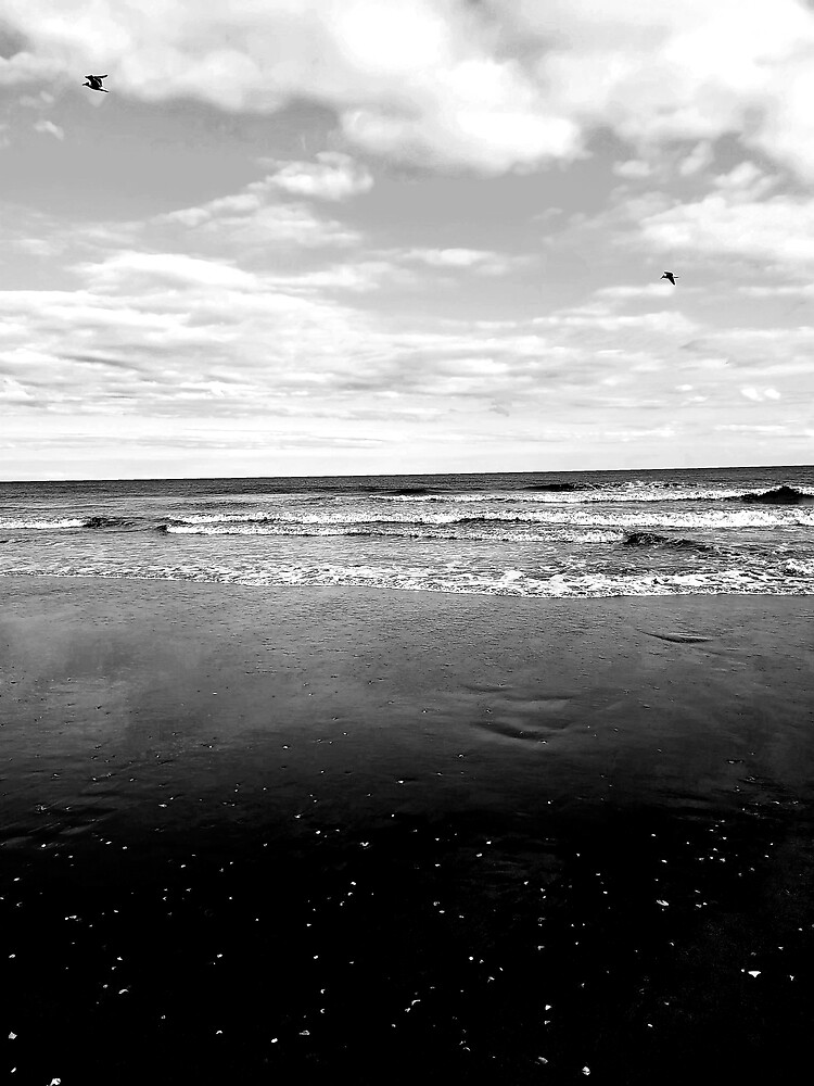 black-and-white-beach-poster-for-sale-by-coolesse-redbubble