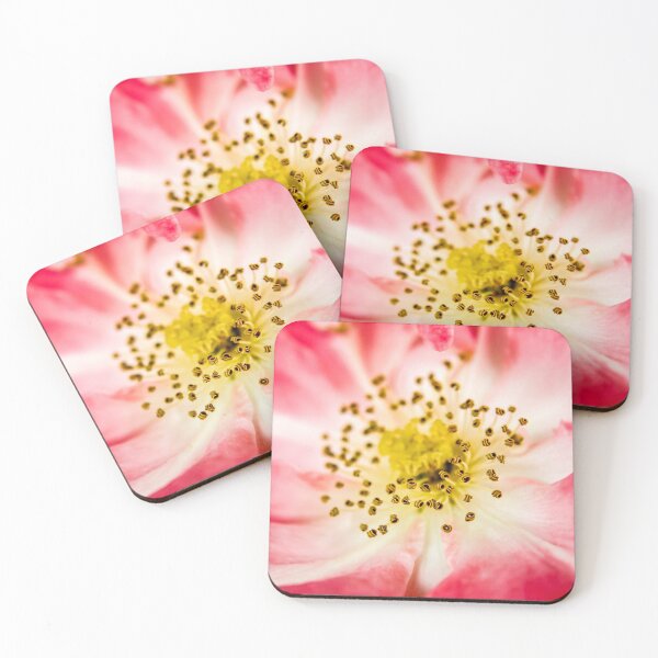 Item preview, Intricate details of the delicate stamen and pretty pink petals of a Dog Rose designed and sold by James-Cole.