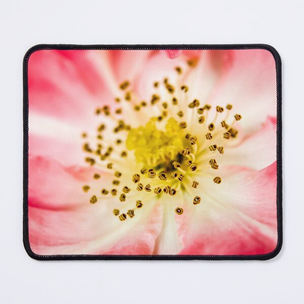 Item preview, Intricate details of the delicate stamen and pretty pink petals of a Dog Rose designed and sold by James-Cole.