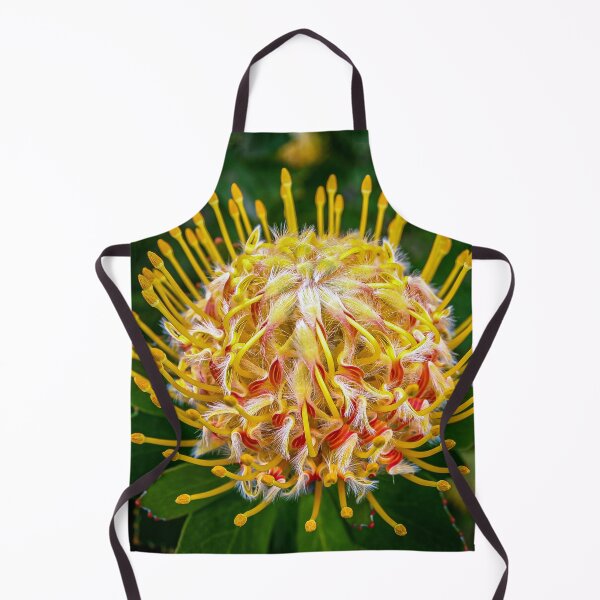 Item preview, The Protea Pincushion or Leucospermum Veldfire is an Australian native flower in vivid colour designed and sold by James-Cole.
