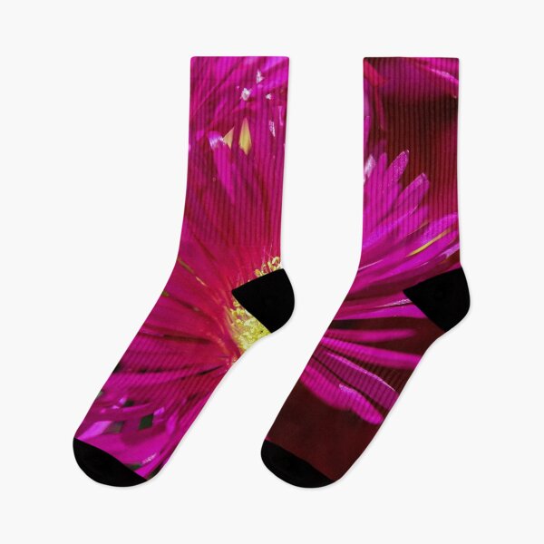 Item preview, Una flor de aster rosa rojizo con polen amarillo brillante designed and sold by James-Cole.
