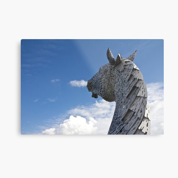 Metal Print