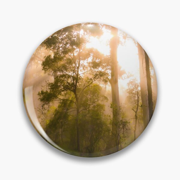 Item preview, Godrays from the golden sunrise shine through the misty forest trees designed and sold by James-Cole.