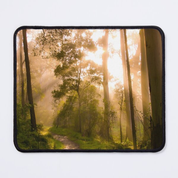 Item preview, Godrays from the golden sunrise shine through the misty forest trees designed and sold by James-Cole.