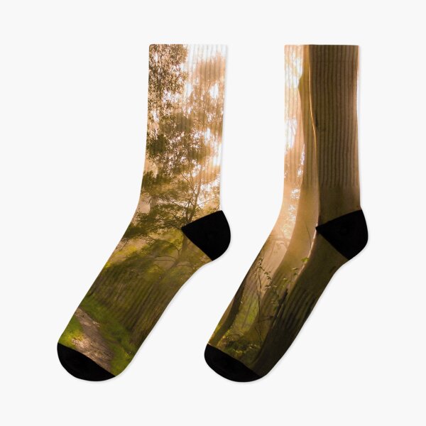 Item preview, Godrays from the golden sunrise shine through the misty forest trees designed and sold by James-Cole.