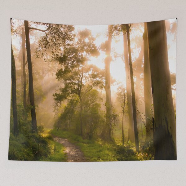 Item preview, Godrays from the golden sunrise shine through the misty forest trees designed and sold by James-Cole.