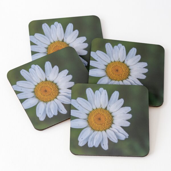 Item preview, H0063 Daisy designed and sold by photographyemd.