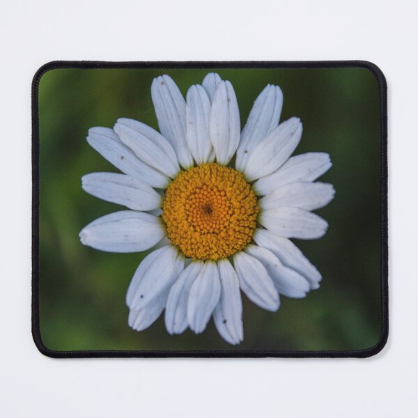 Item preview, H0063 Daisy designed and sold by photographyemd.