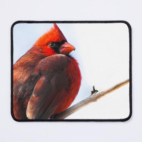 Item preview, Gran rojo designed and sold by KathyGail.