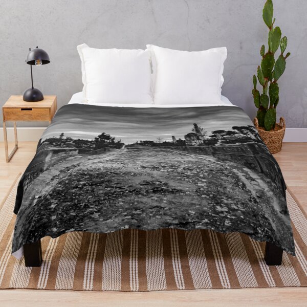 Item preview, Historical paths leading through Ballarat’s old cemetery on a gloomy overcast day designed and sold by James-Cole.