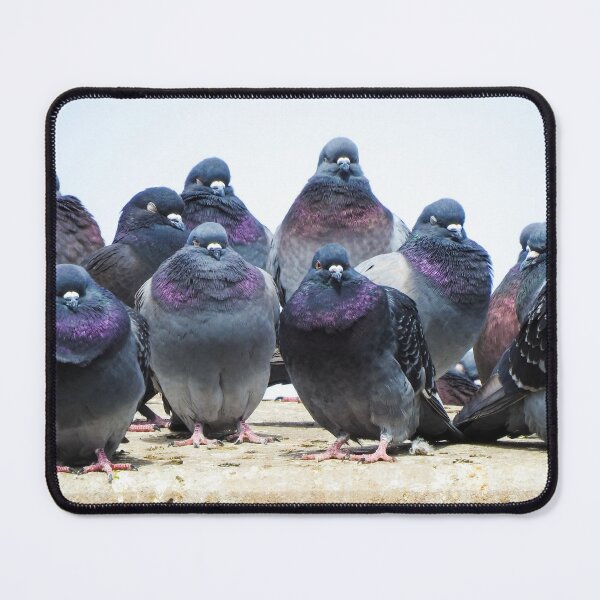 Item preview, The Feathered Flock designed and sold by KathyGail.