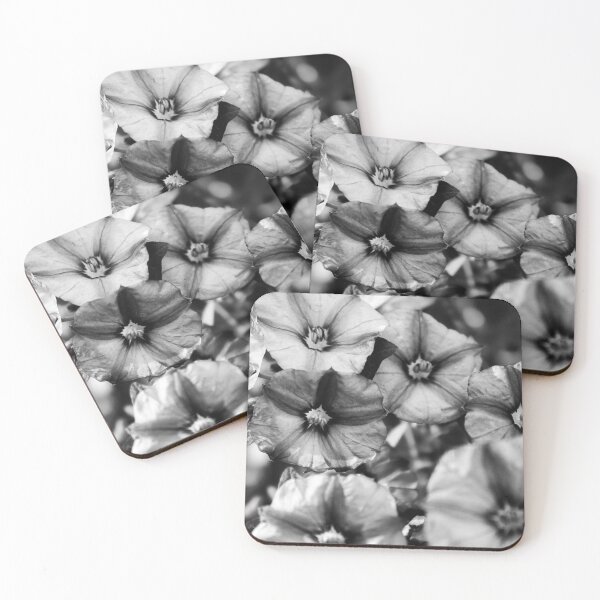 Item preview, Beautiful Petunia flowers in high contrast Black and White designed and sold by James-Cole.