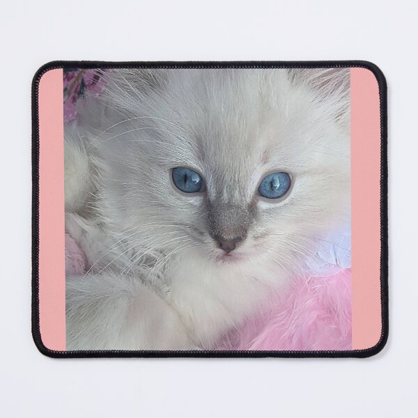 Item preview, Ragdoll kitten designed and sold by Fluffycat2020.