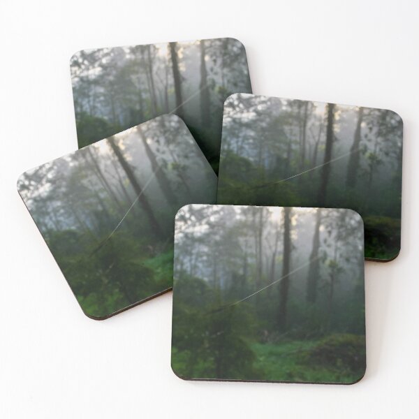 Item preview, A single thread of a spiders web traverses the foggy forest landscape designed and sold by James-Cole.