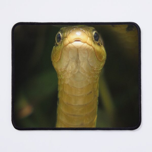 Item preview, Garter Snake Portrait - The Vicskburg Collection designed and sold by Sam Morrison.
