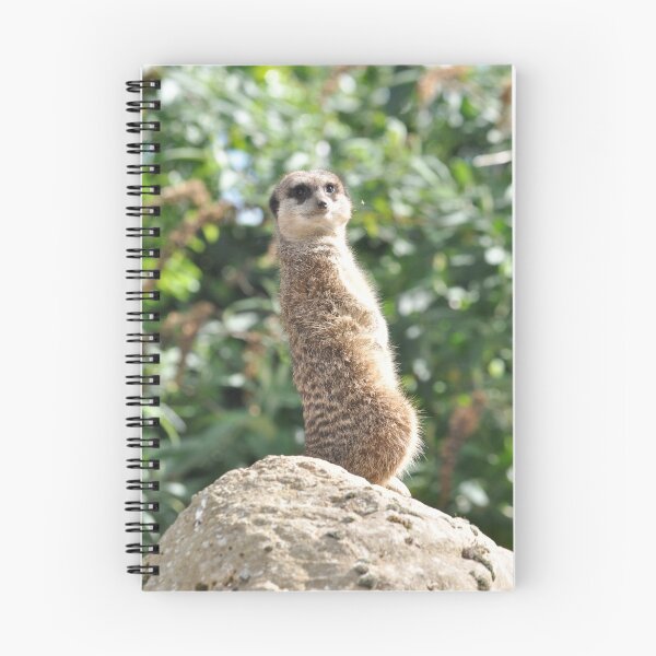 Item preview, Suricata designed and sold by Paolo87.