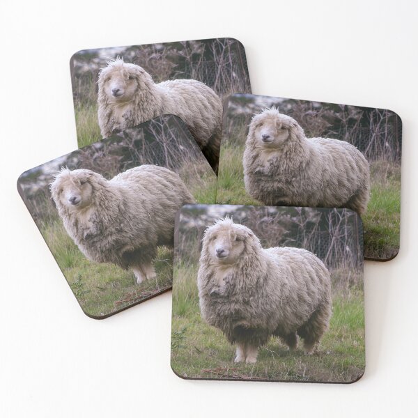 Item preview, Woolly merino sheep looking bedraggled in a cold environment designed and sold by James-Cole.