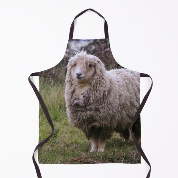 Item preview, Woolly merino sheep looking bedraggled in a cold environment designed and sold by James-Cole.