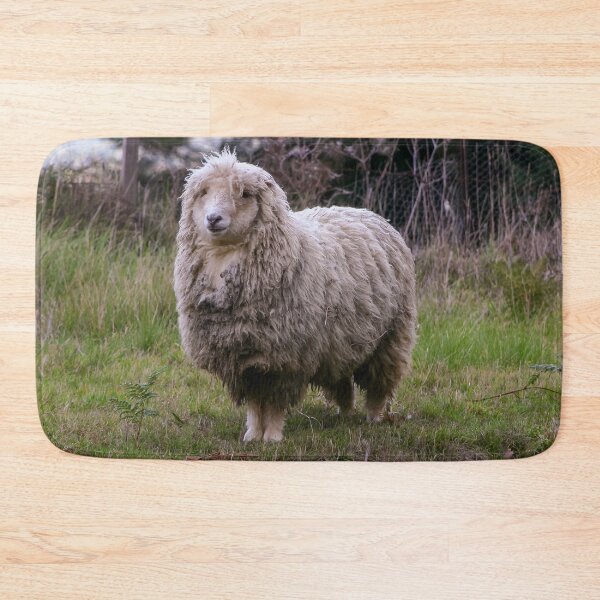 Item preview, Woolly merino sheep looking bedraggled in a cold environment designed and sold by James-Cole.