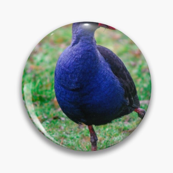 Item preview, Australian Purple Swamphen strutting around looking for food - Porphyrio porphyrio designed and sold by James-Cole.