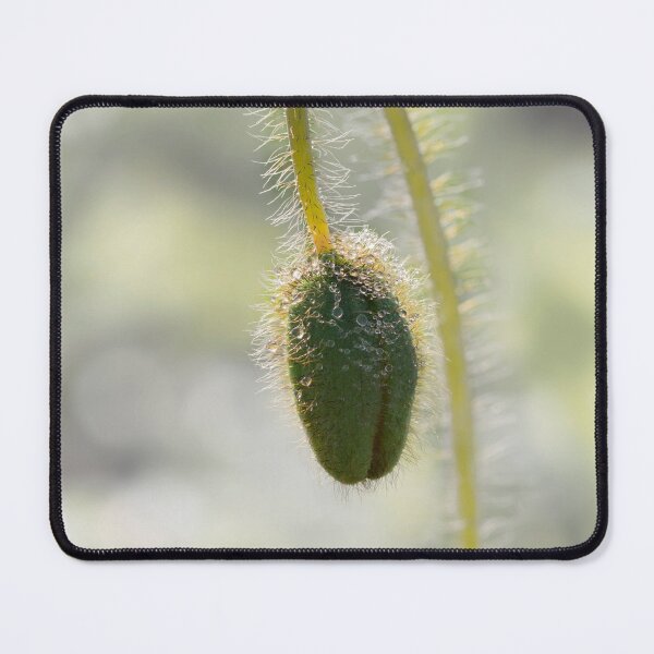 Item preview, Emergence designed and sold by Siene Browne.
