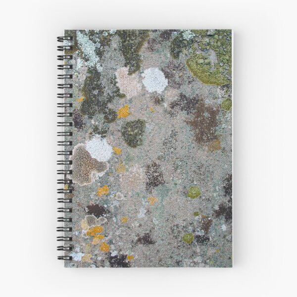 Item preview, Blotchy patchy lichen and moss patterns growing on an old textured stone designed and sold by James-Cole.