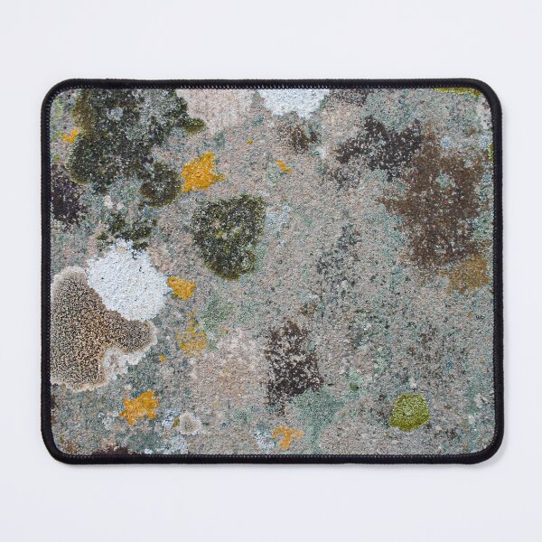 Item preview, Blotchy patchy lichen and moss patterns growing on an old textured stone designed and sold by James-Cole.
