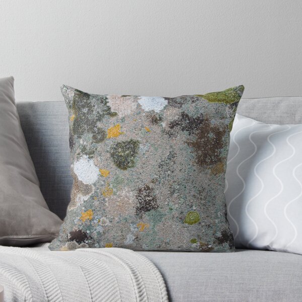 Item preview, Blotchy patchy lichen and moss patterns growing on an old textured stone designed and sold by James-Cole.