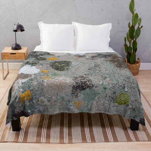 Item preview, Blotchy patchy lichen and moss patterns growing on an old textured stone designed and sold by James-Cole.