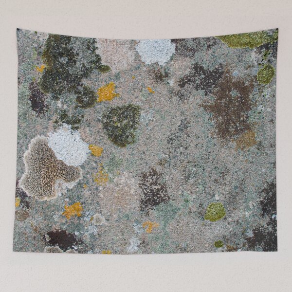 Item preview, Blotchy patchy lichen and moss patterns growing on an old textured stone designed and sold by James-Cole.