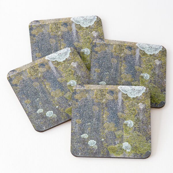 Item preview, Lichen and moss textures and patterns on a grungy old gravestone designed and sold by James-Cole.