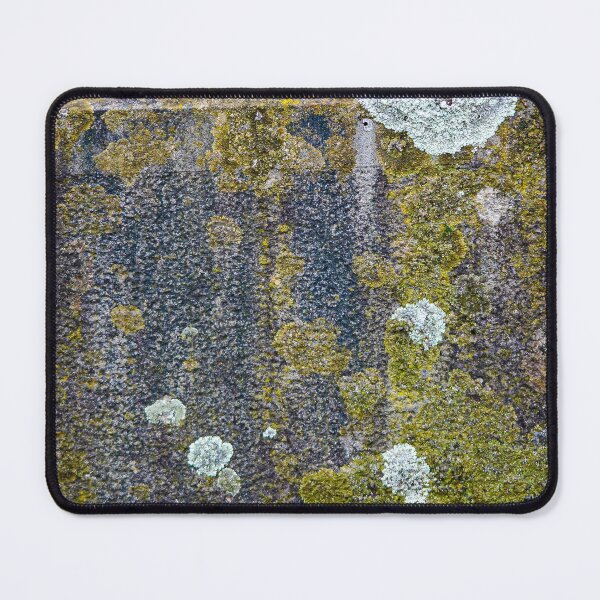 Item preview, Lichen and moss textures and patterns on a grungy old gravestone designed and sold by James-Cole.