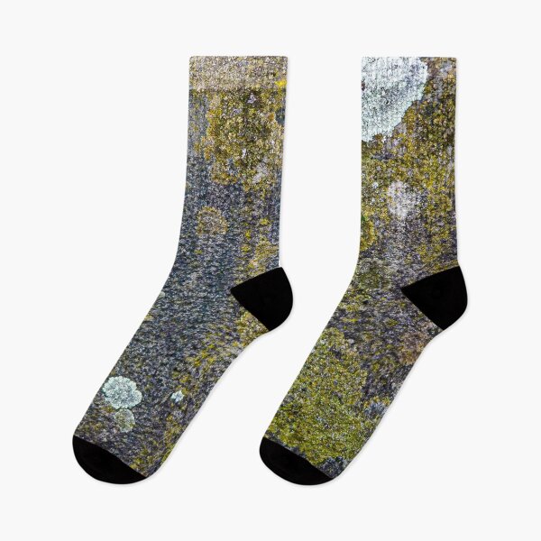 Item preview, Lichen and moss textures and patterns on a grungy old gravestone designed and sold by James-Cole.