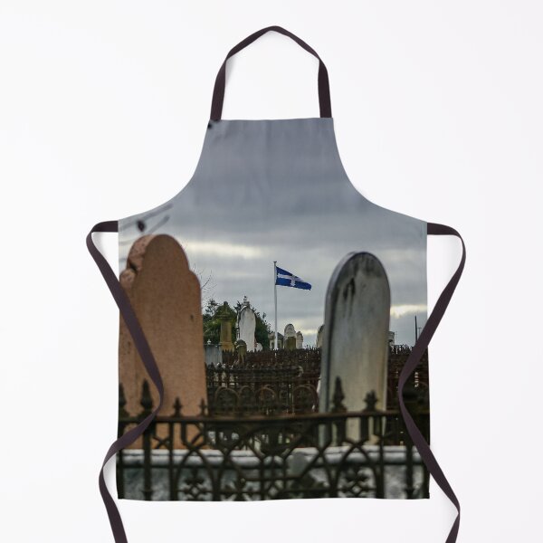 Item preview, Eureka flag flying between headstones in the Ballarat old cemetery designed and sold by James-Cole.