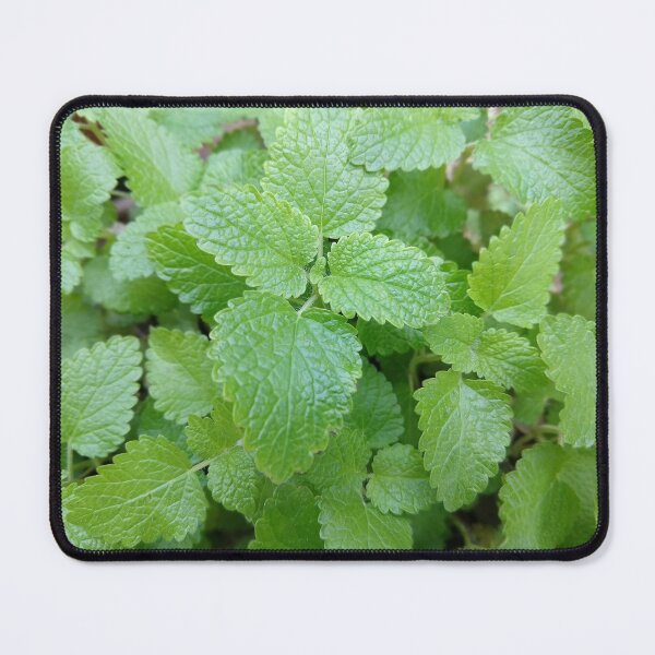 Item preview, Green and leafy: Spring growth designed and sold by Ofeefee.