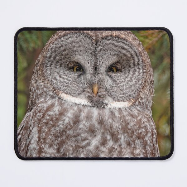 Item preview, Great Grey Owl designed and sold by Catherine Reading.