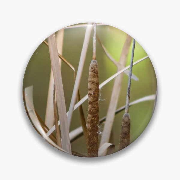 Item preview, Close up of Dry reeds in the wetlands designed and sold by James-Cole.