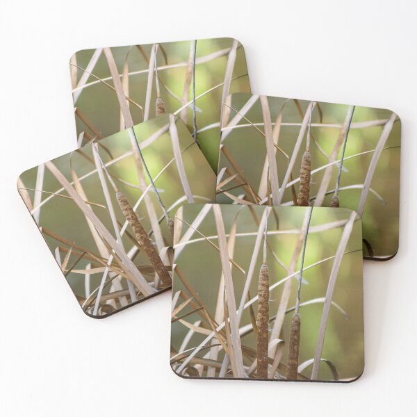 Item preview, Close up of Dry reeds in the wetlands designed and sold by James-Cole.